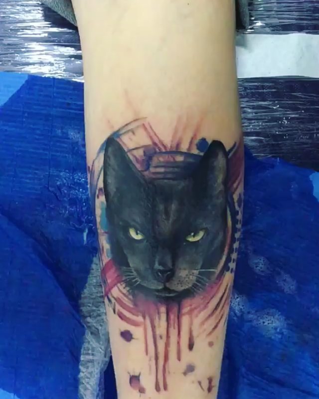 某4s店经理田先生小臂猫咪纹身图案